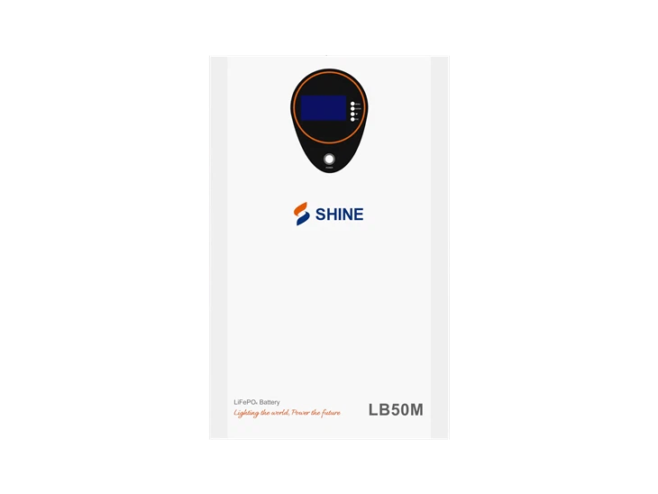 Batteria al litio montata a parete LB50ml 25,6 V 200AH